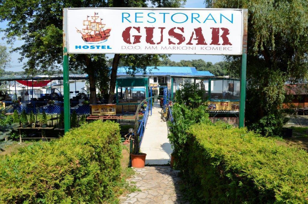 Splav Guest Hause Gusar Hotel Belgrado Buitenkant foto